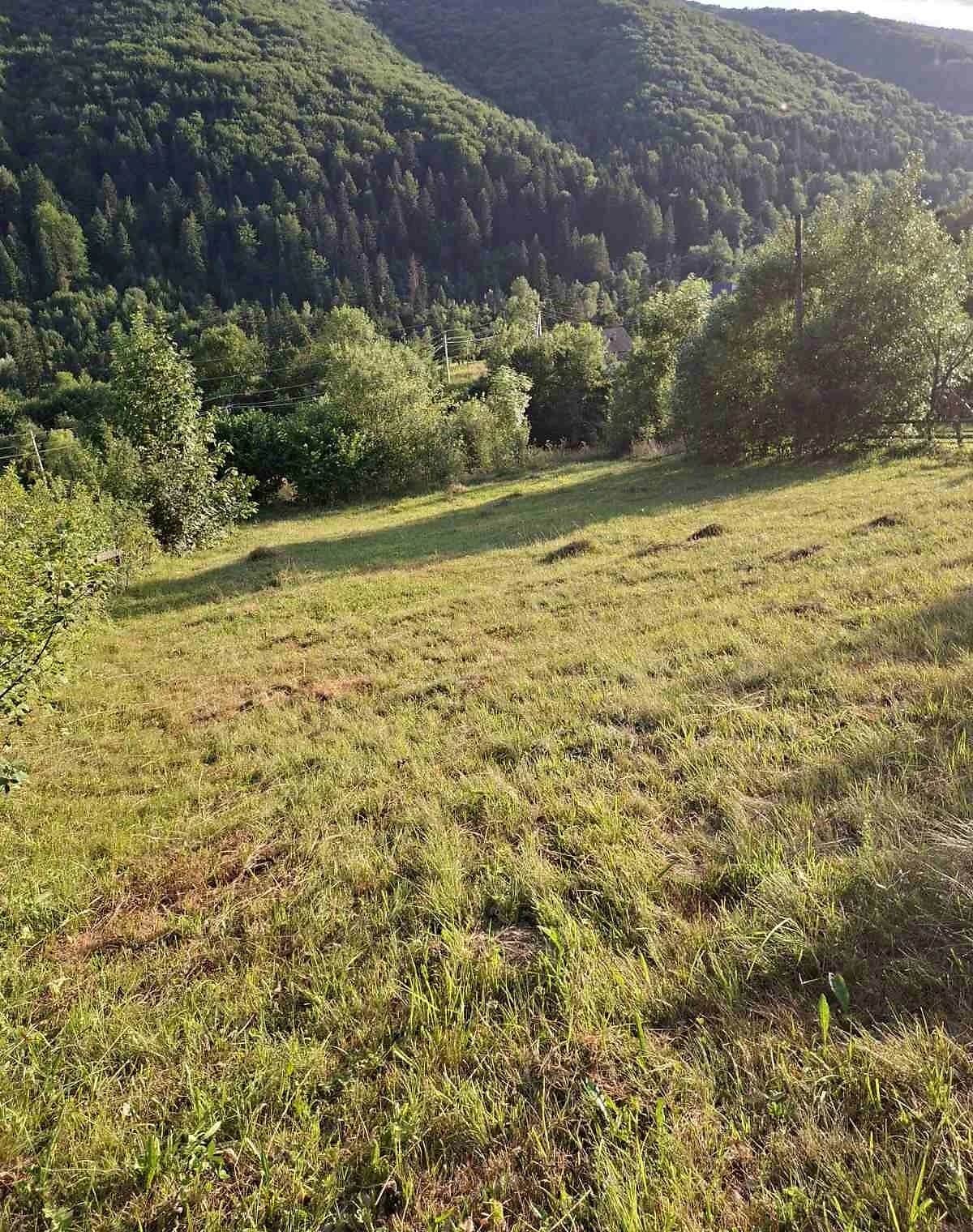 Ділянка 15.2 соток, Яремче: сільськогосподарська, електрика - фото 1