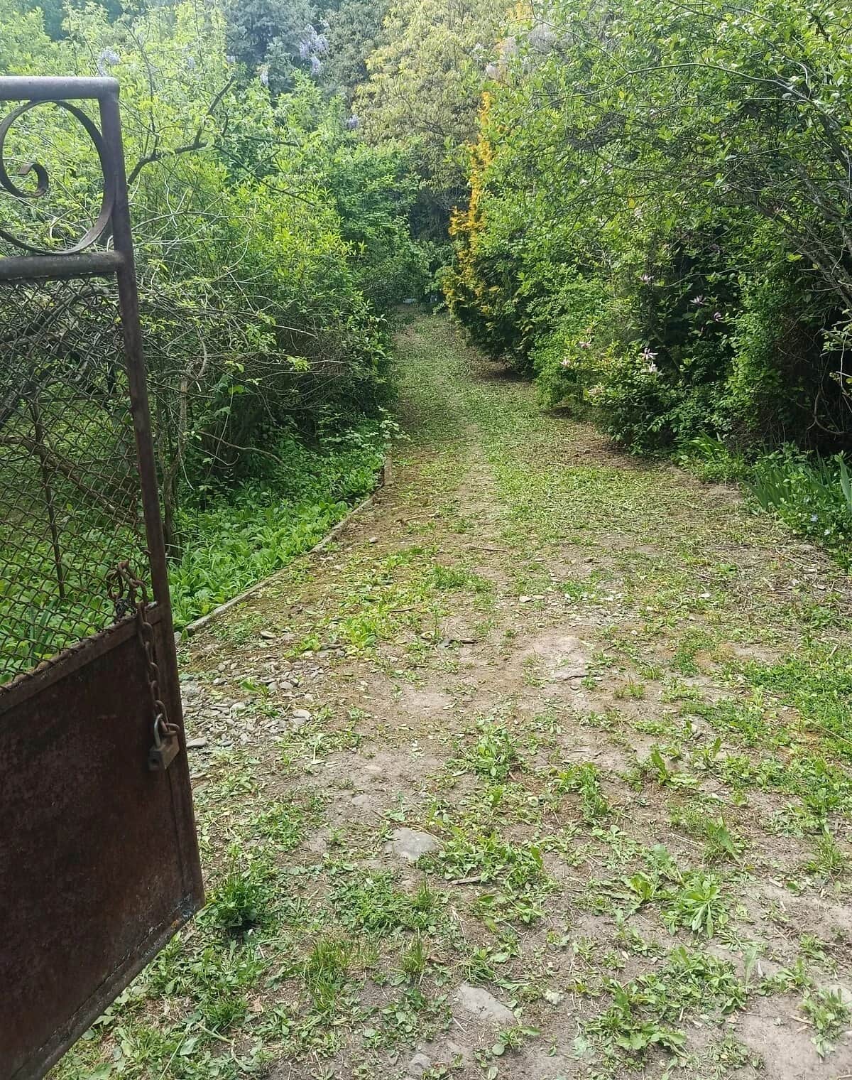 Дача, Сторожинець: 2 поверхи, ділянка 5.7 сотки - фото 2