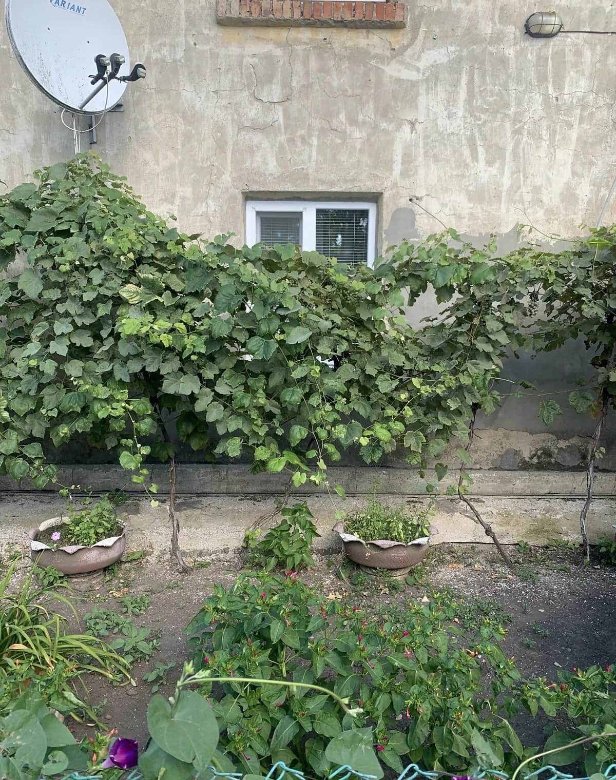 2-кімнатна квартира, Підгородна: євроремонт, електроопалення - фото 2