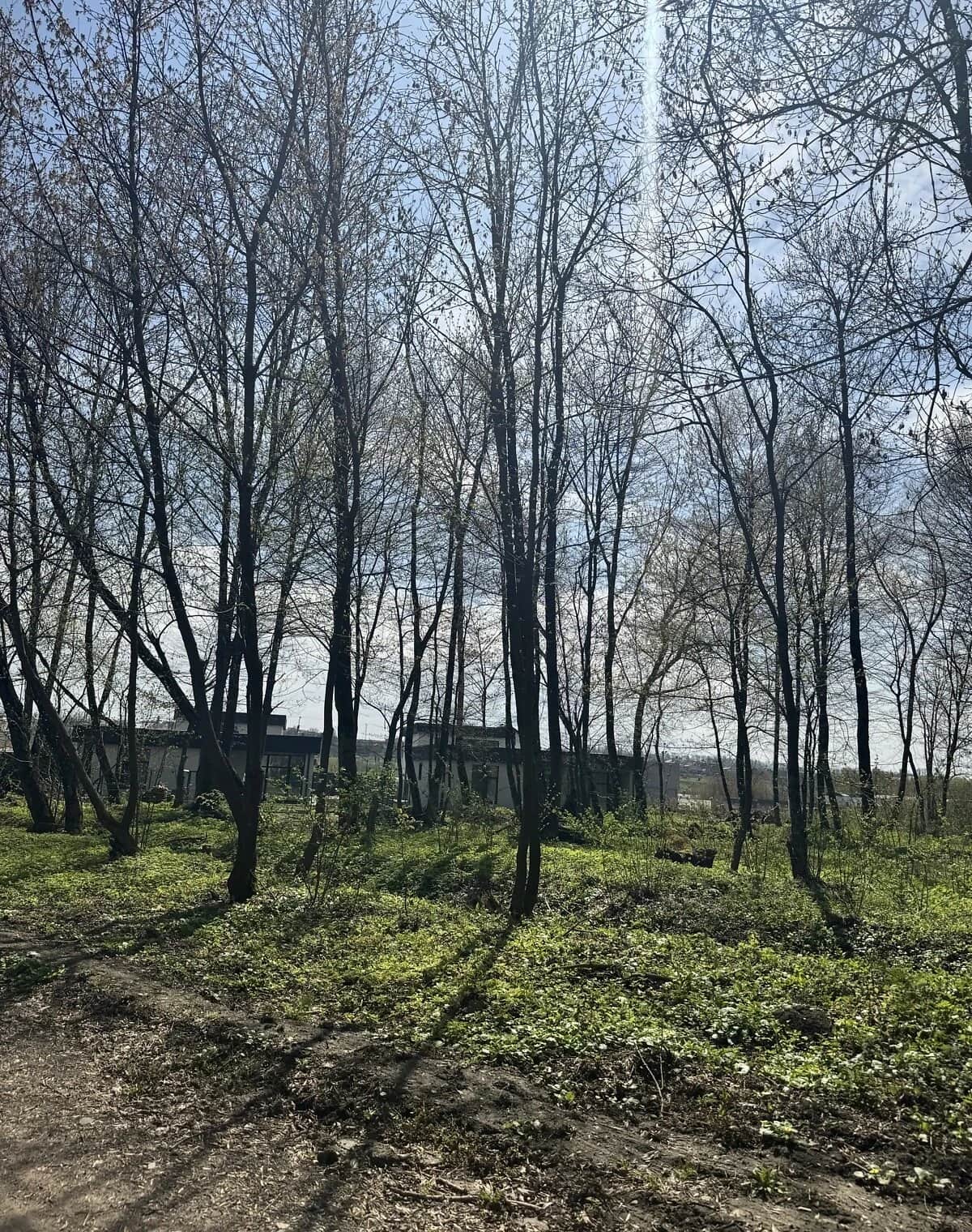 Ділянка 12 соток, Хмельницький: штучне озеро, свердловина - фото 2