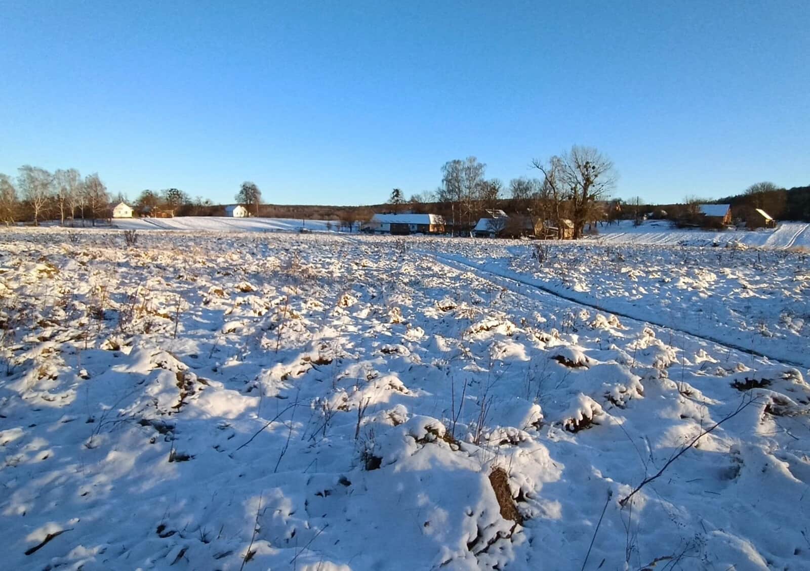 Ділянка 23.3 сотки, Кунин: під житлову забудову, сад - фото 2