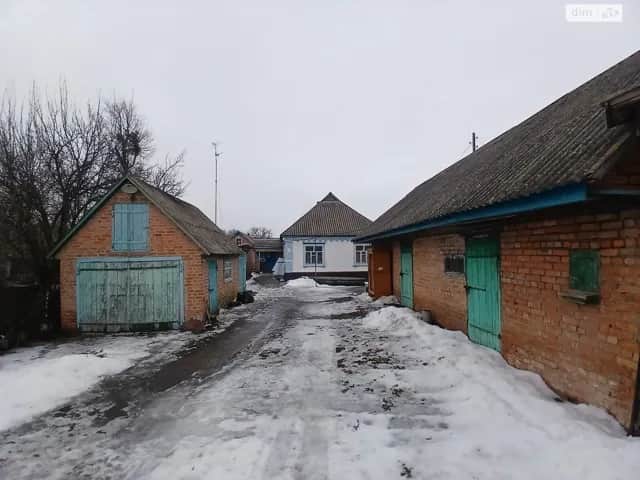 Будинок, Ковалі (Чорнухи): гараж, 40 соток, торг - фото 2
