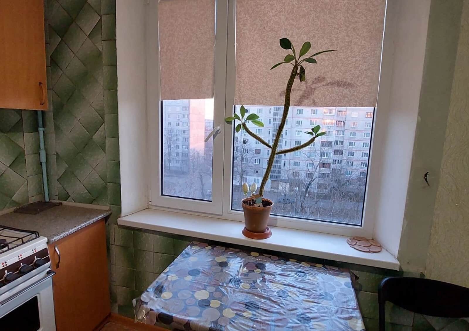 2-кімнатна квартира, Салтівський: єВідновлення, розстрочка - фото 2