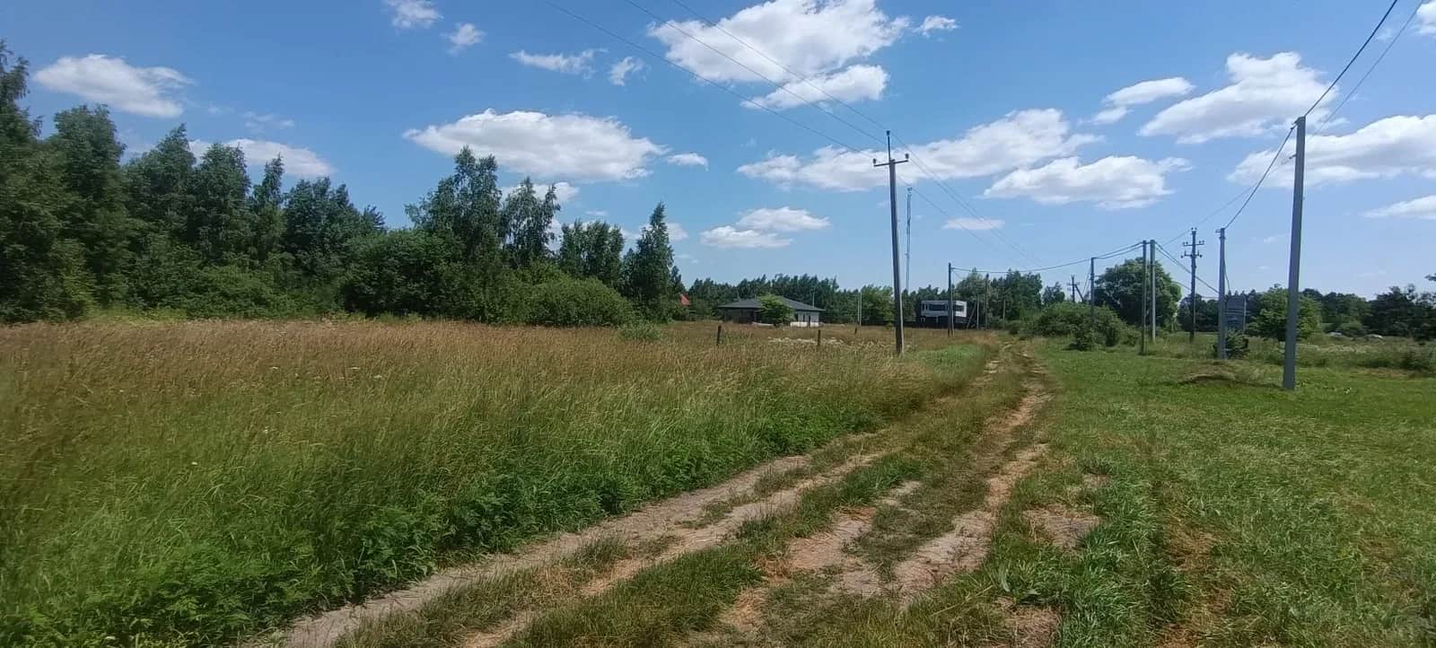 Ділянка 12 соток, Бабинці: під забудову, березовий сад - фото 2