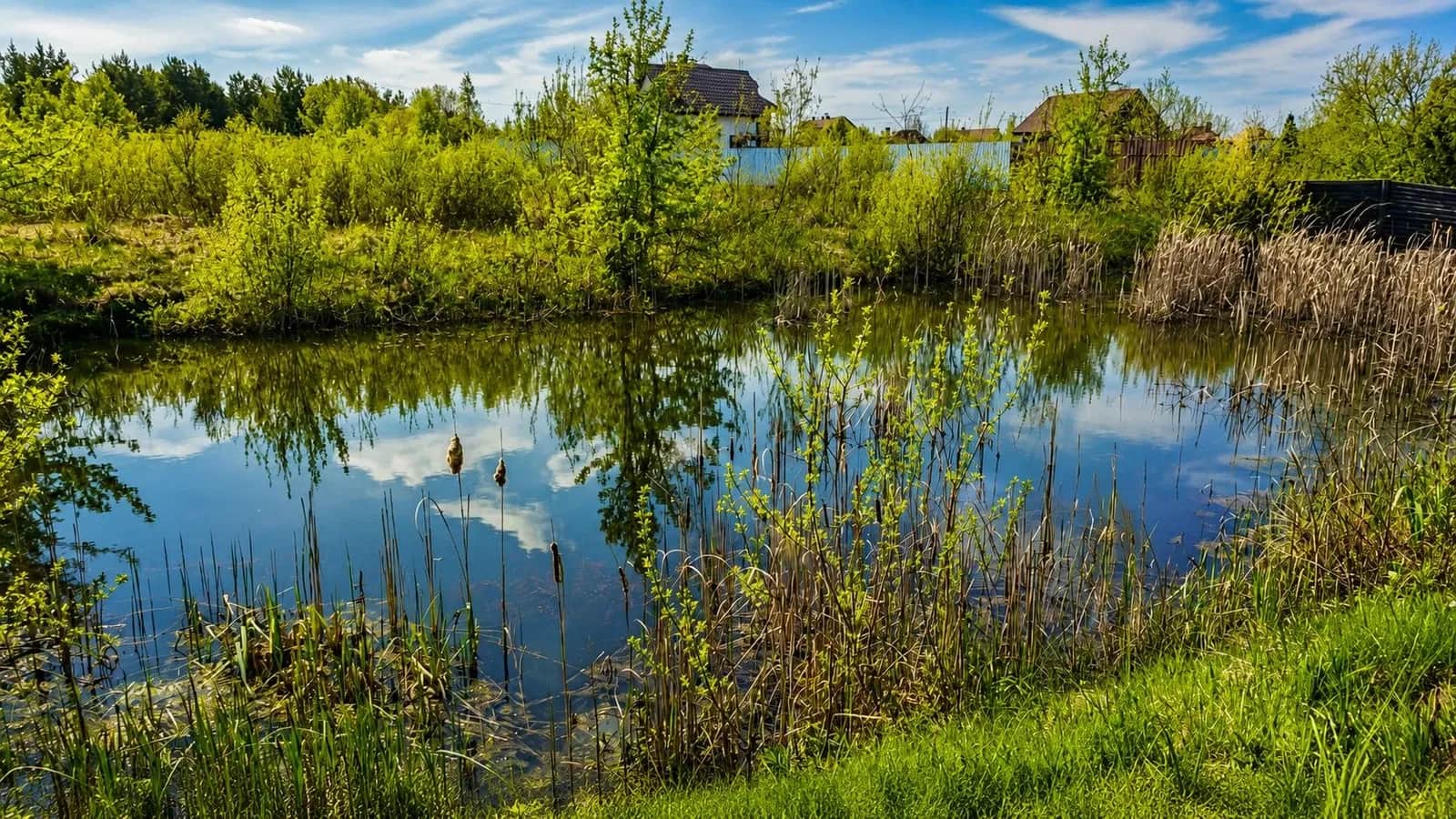 Ділянка 32 соток, Кам’янка: власне озеро, 5 км до Житомира - фото 1