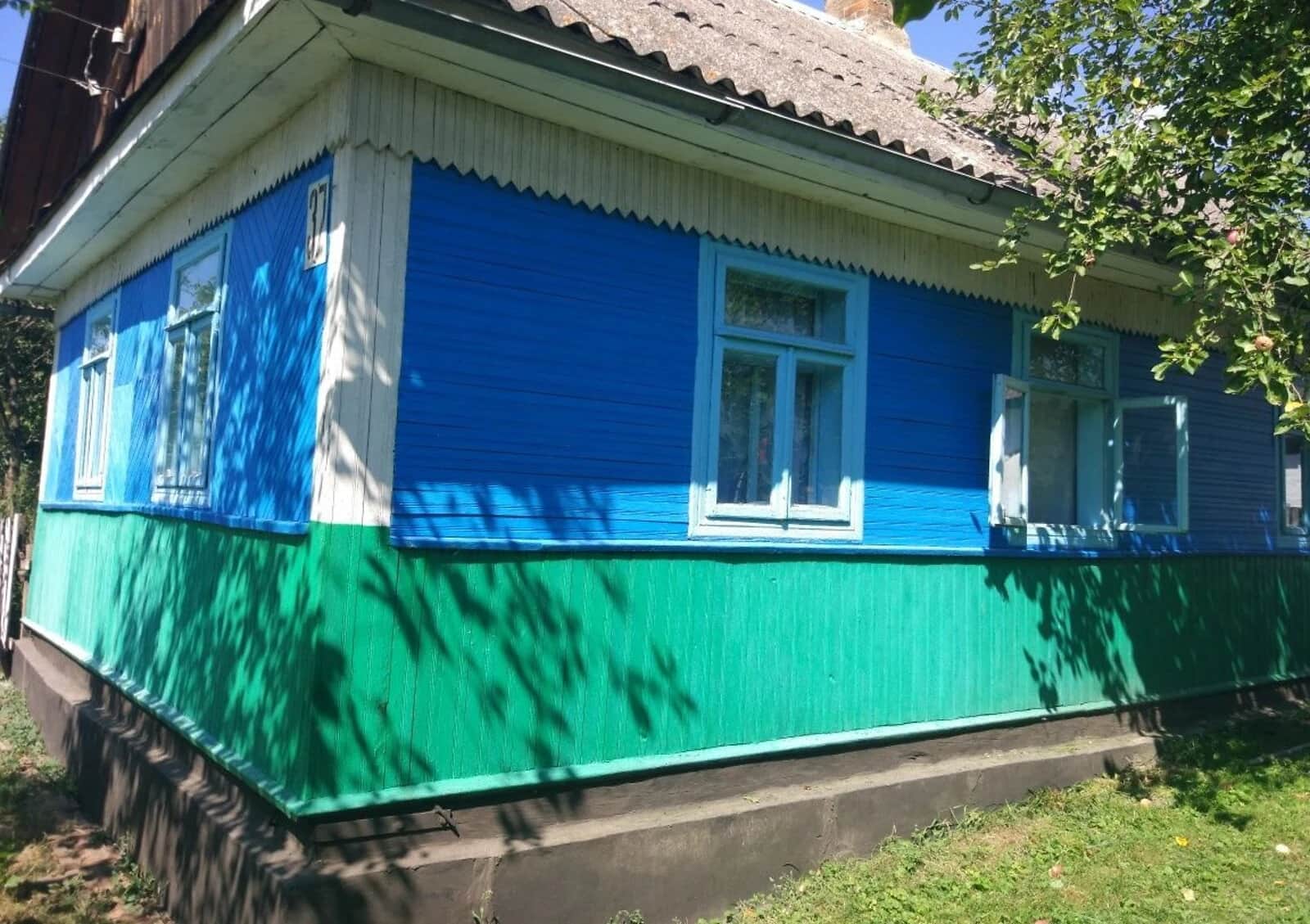 Будинок, Новомалин: криниця, літня кухня, гараж із підвалом - фото 2