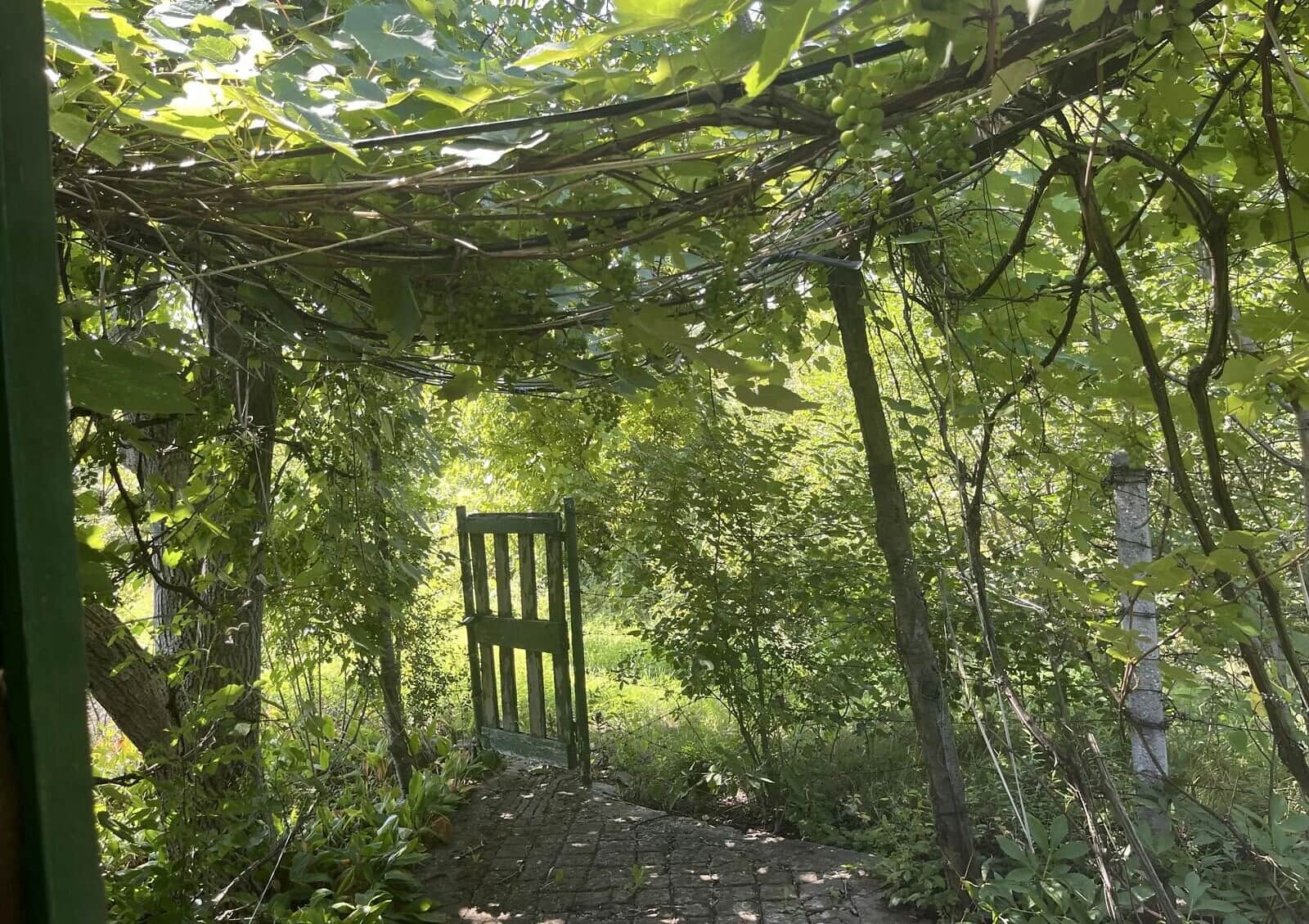 Дача, Кулебівка: бесідка, свердловина, централізоване опалення - фото 2