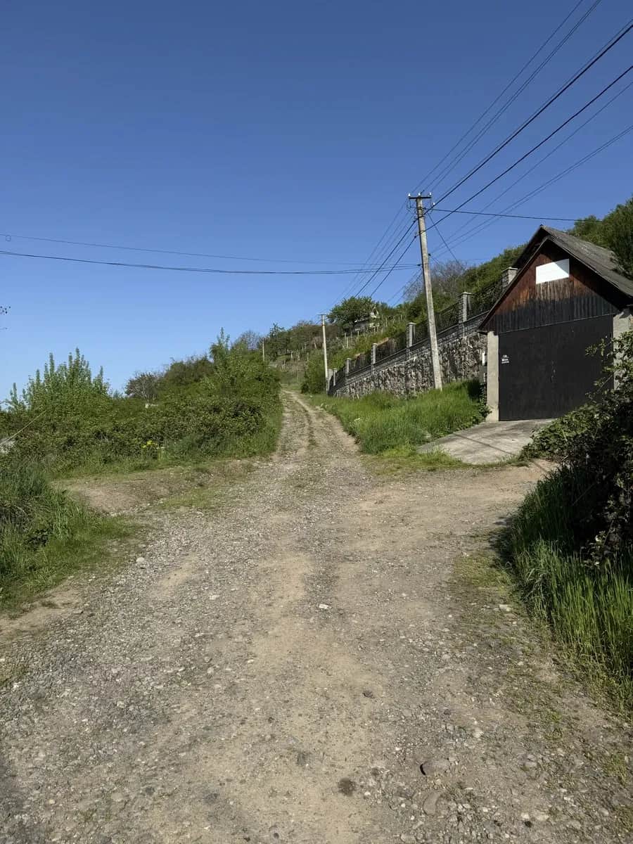 Дача, Виноградів: вода, фруктові дерева, панорама - фото 2