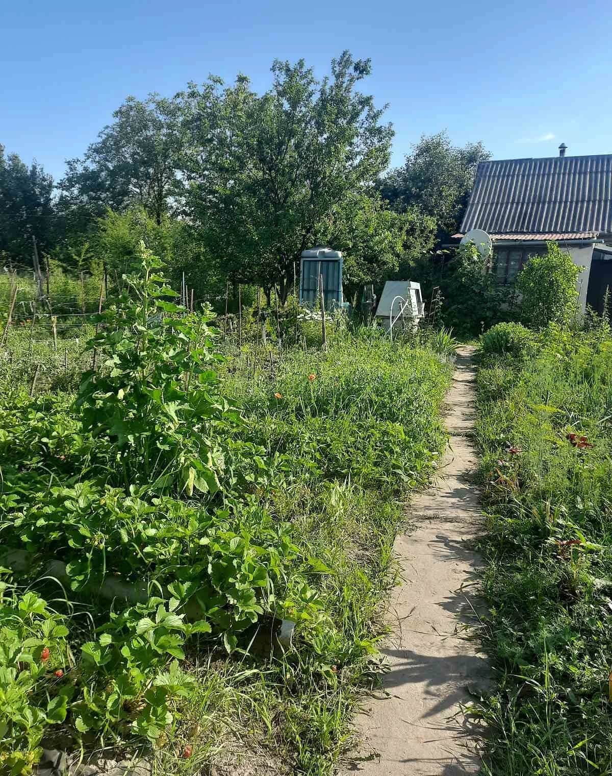 Ділянка 9 соток, Березове: басейн, пай, свердловина - фото 2