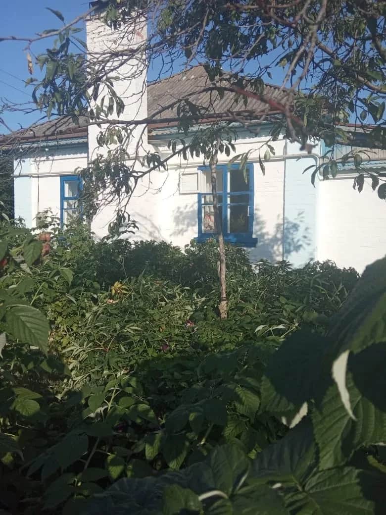 Будинок, Чорнобай: 25 соток, річка поруч, можливість обміну - фото 1
