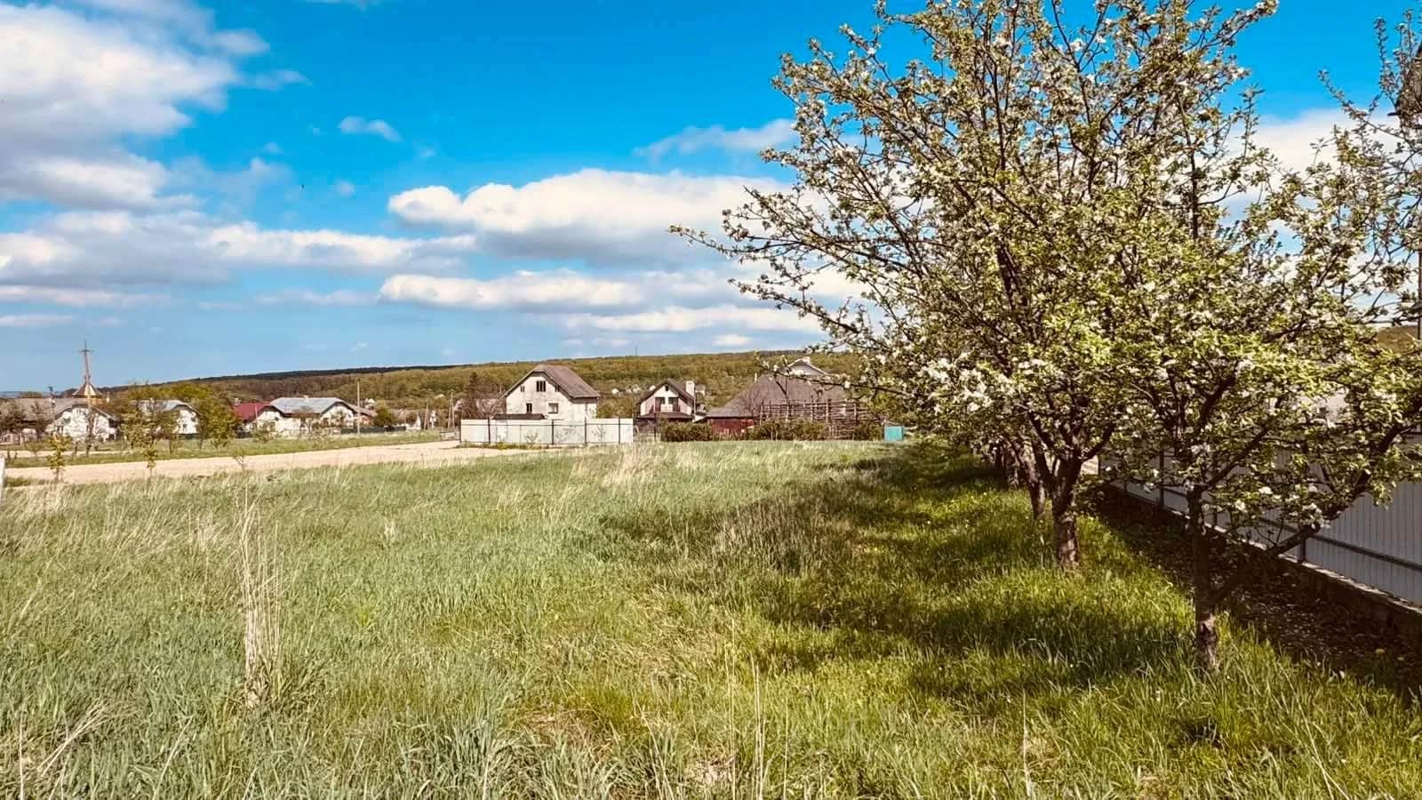Ділянка 15 соток, Павлівка: під житлову забудову, сад із 21 деревом - фото 2