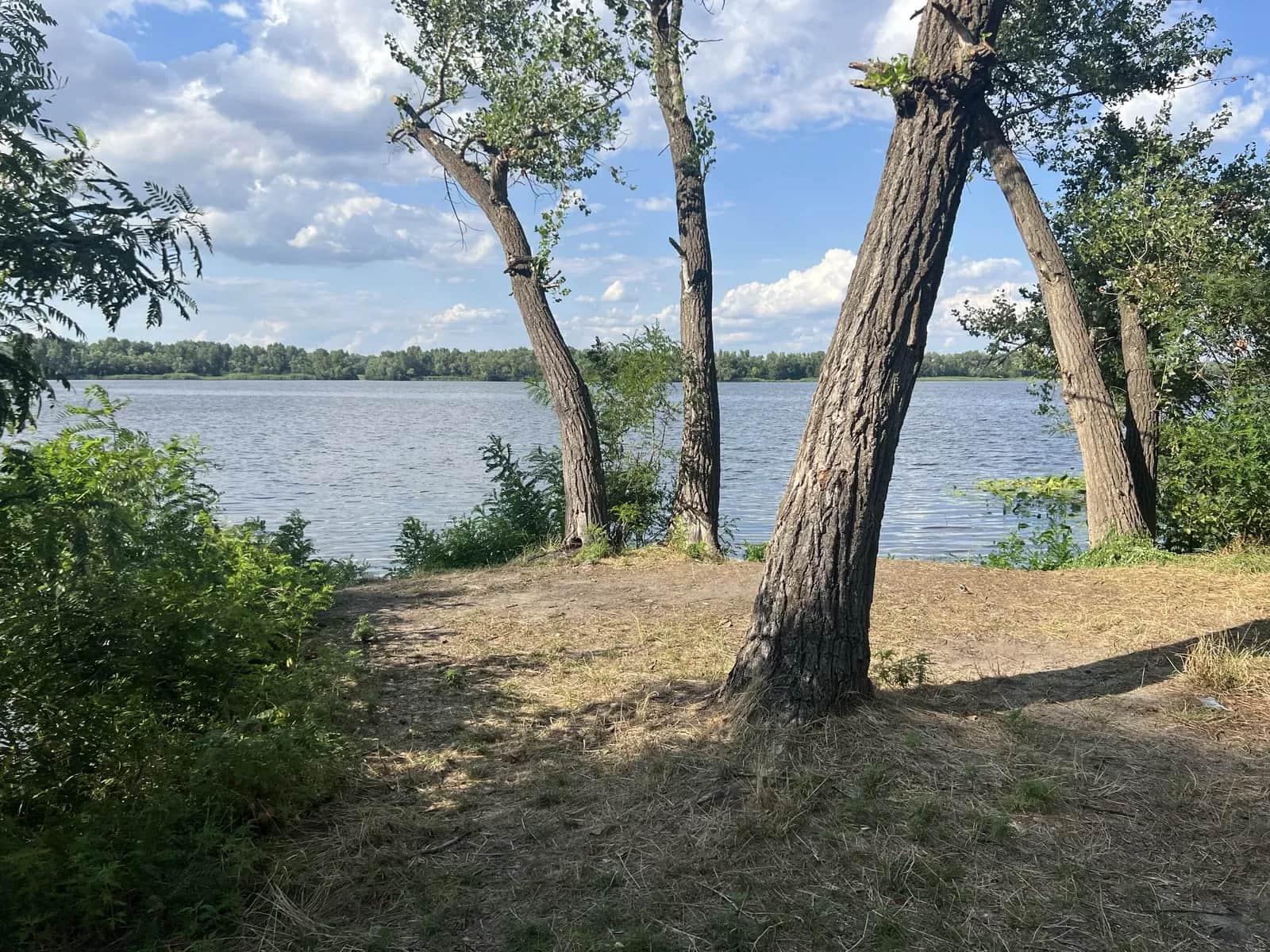 Ділянка 10 соток, Сухочовка: червона лінія, 150 м до Дніпра - фото 1