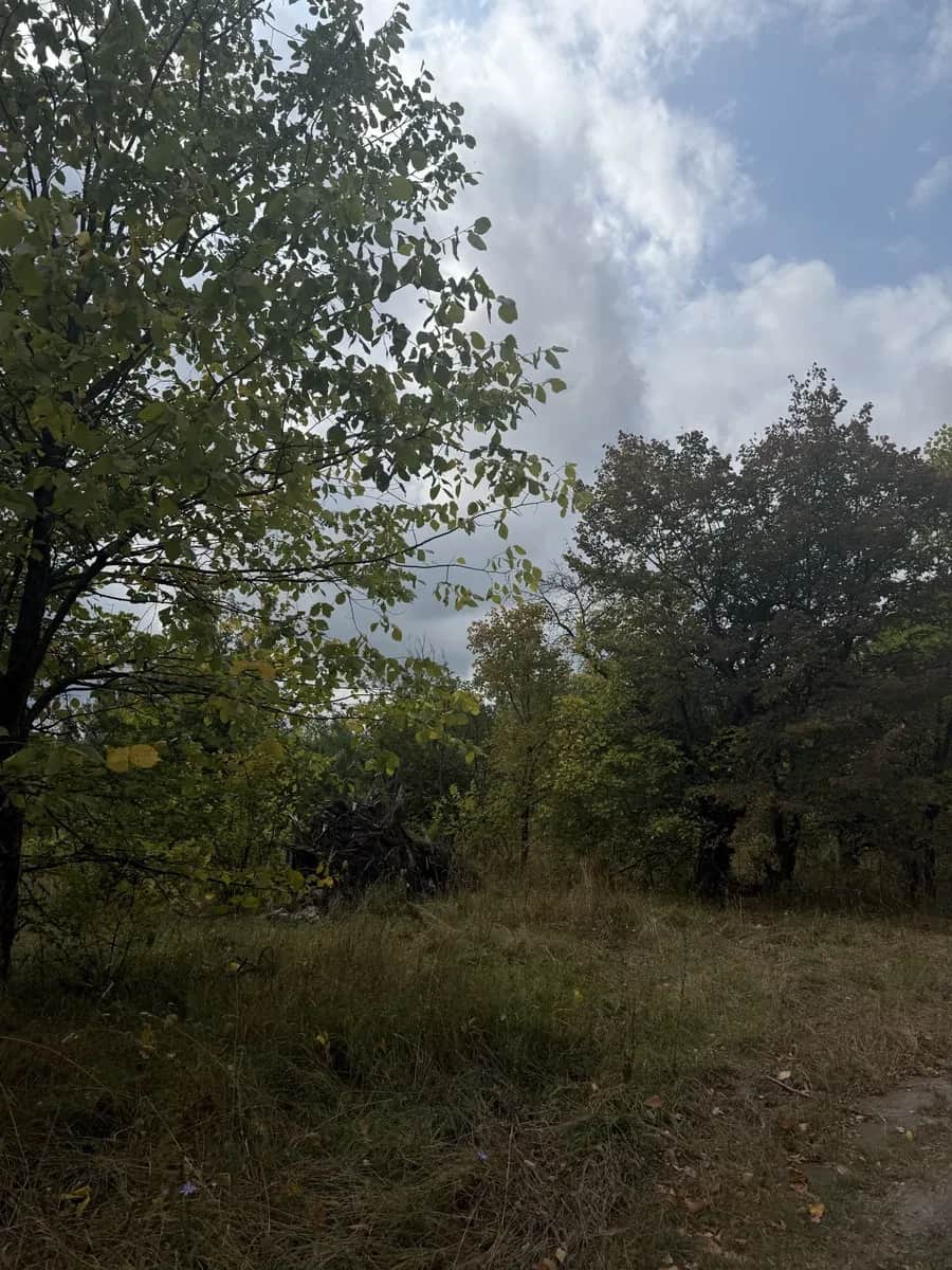 Ділянка 40 соток, Михайлівка-Рубежівка: озеро поруч, біля Києва - фото 2