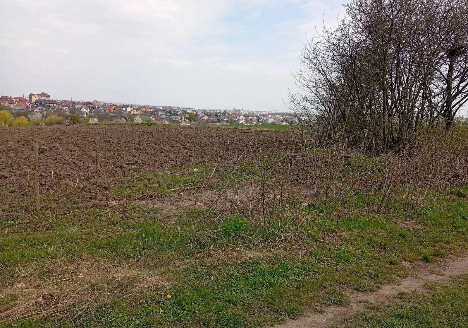 Ділянка 19.37 соток, Великий Кучурів: чорнозем, електрика - фото 1