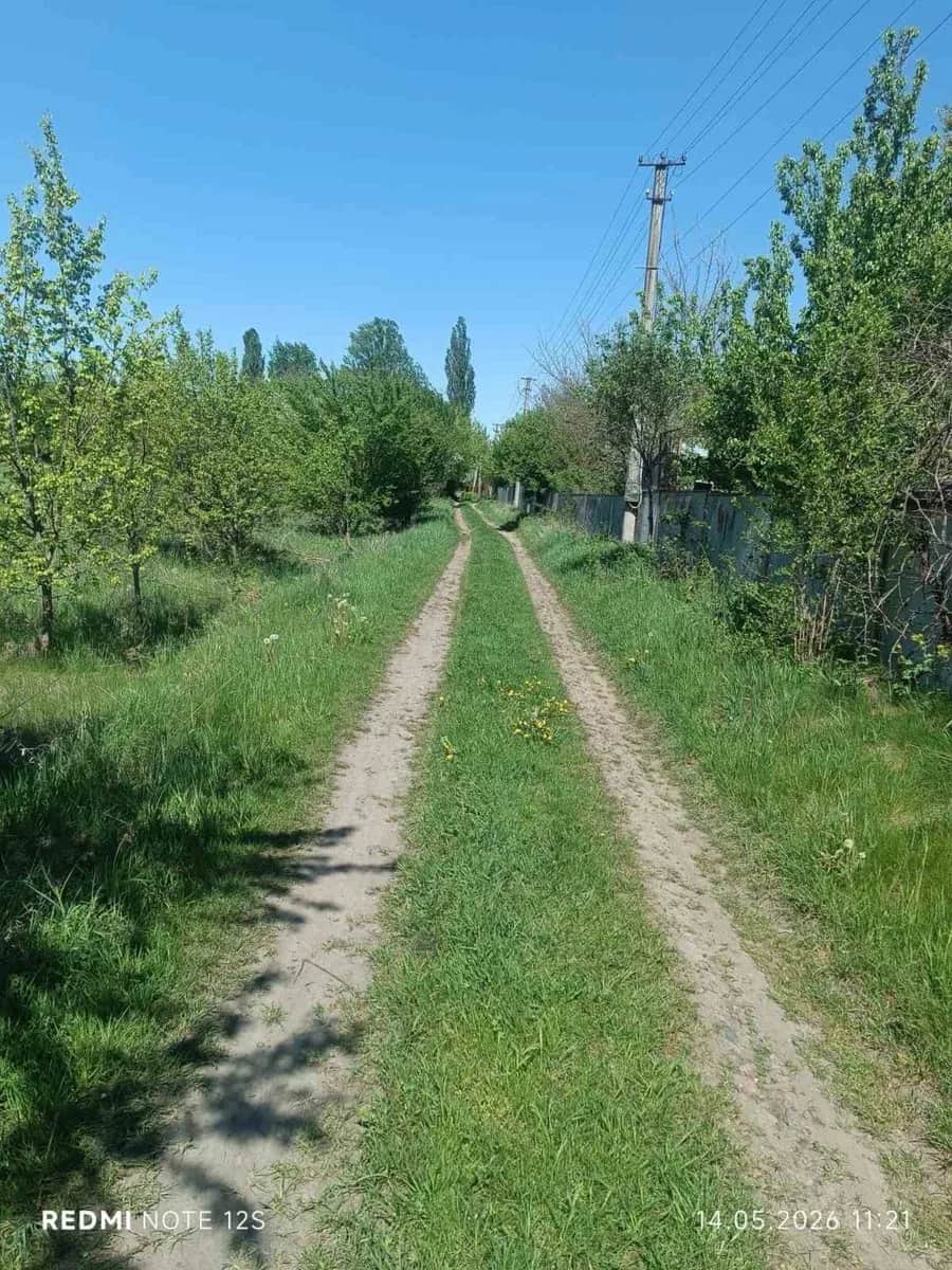 Ділянка 17 соток, Томашівка: під будівництво, ліс і озеро за 1 км - фото 2