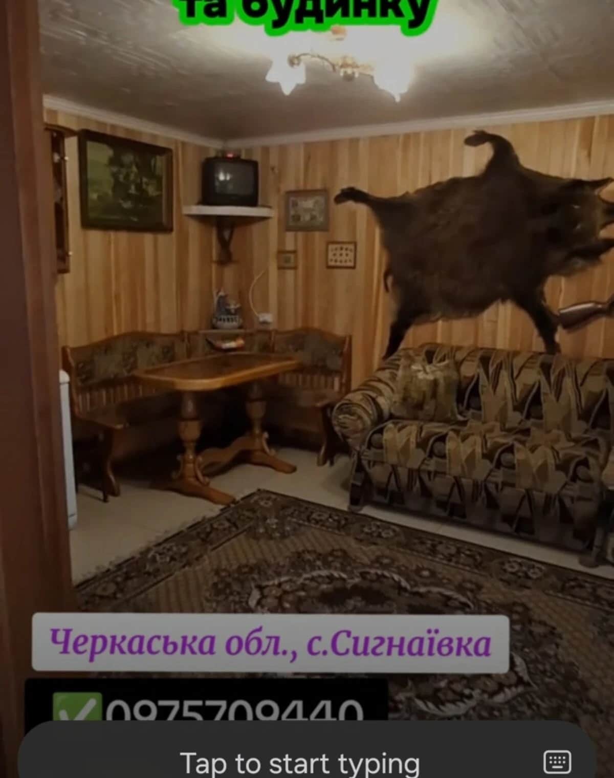 Виробниче приміщення, Сигнаївка: діючий бізнес, 2,5 га - фото 2