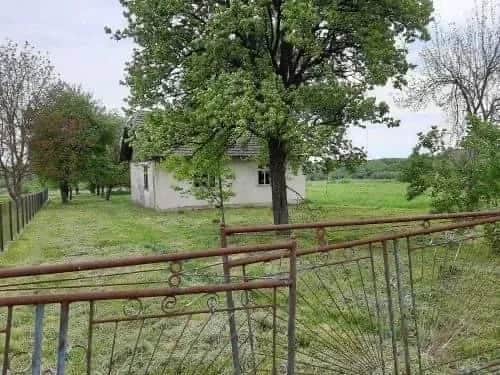 Ділянка 35 соток, Нижні Гаї: деревʼяний будинок, великий сад - фото 1