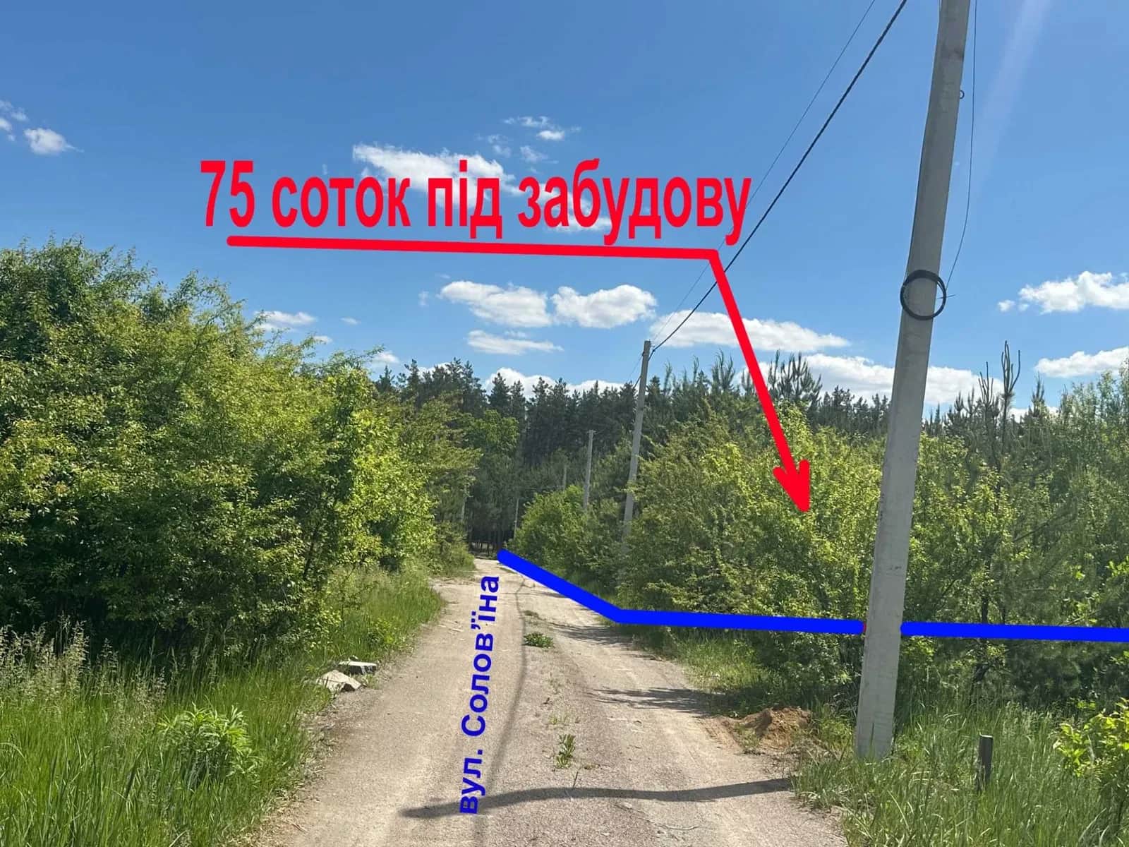 Ділянка 75 соток, Тарасівка: вихід до лісу, фасад 125 м - фото 1