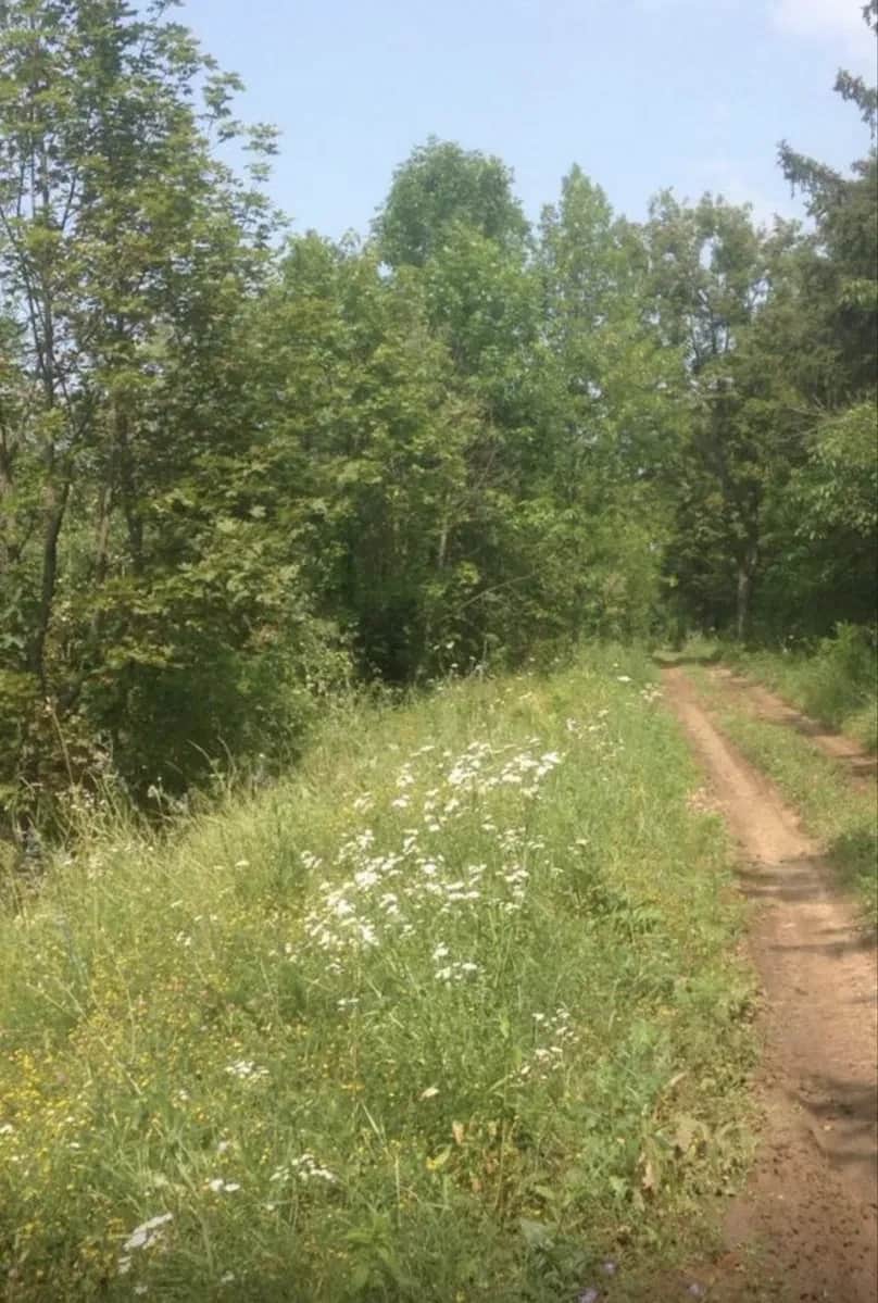 Ділянка 8400 соток, Покотилівка: житлова й суспільна забудова, торг - фото 1