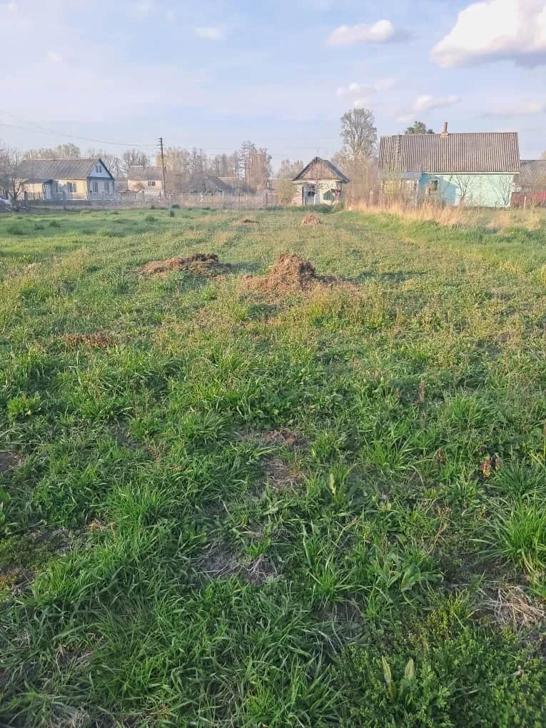 Ділянка 18 соток, Рудня: будинок, для будівництва, річка поруч - фото 1
