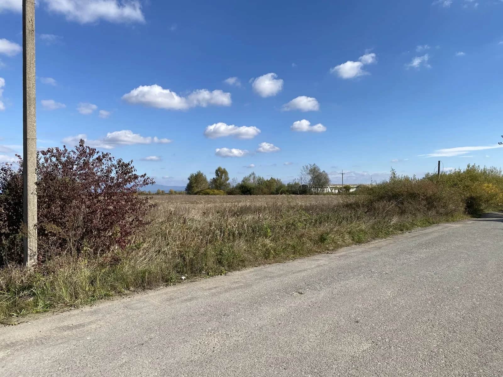 Ділянка 99 соток, Сюрте: фасад 147 м, асфальтована дорога - фото 1
