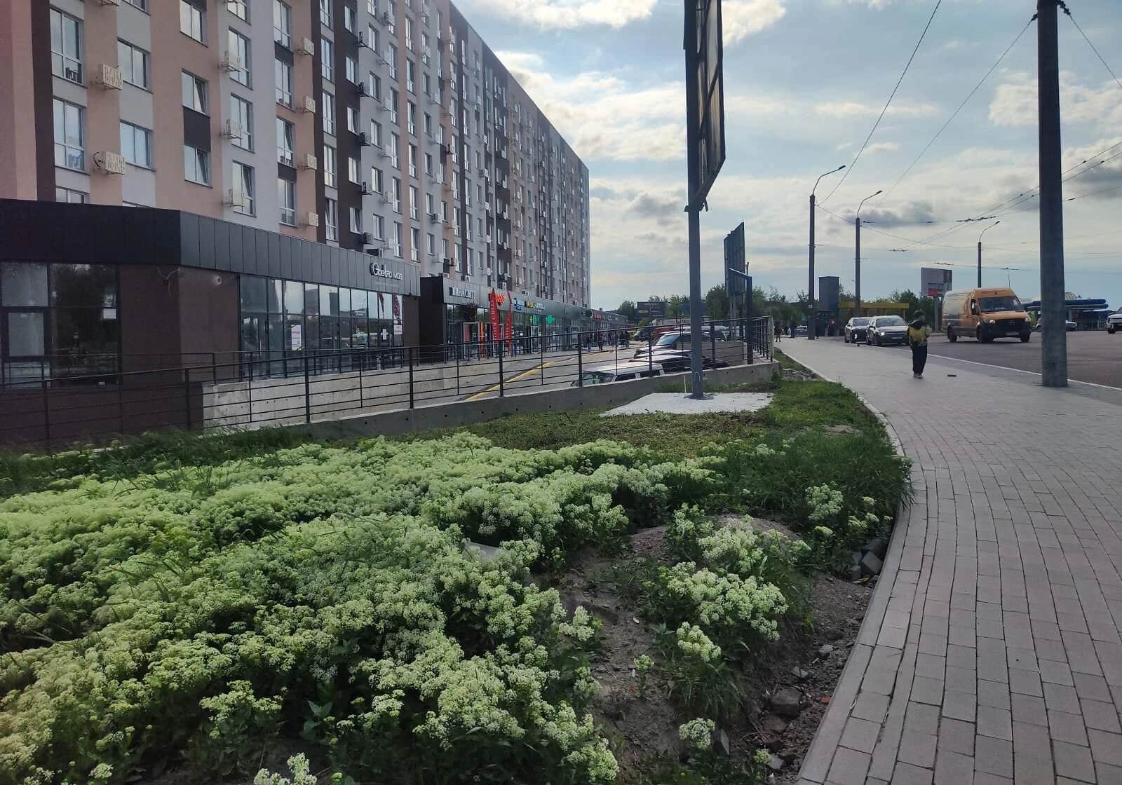 1-кімнатна квартира, Авторинок: кухня-студія, єОселя - фото 2
