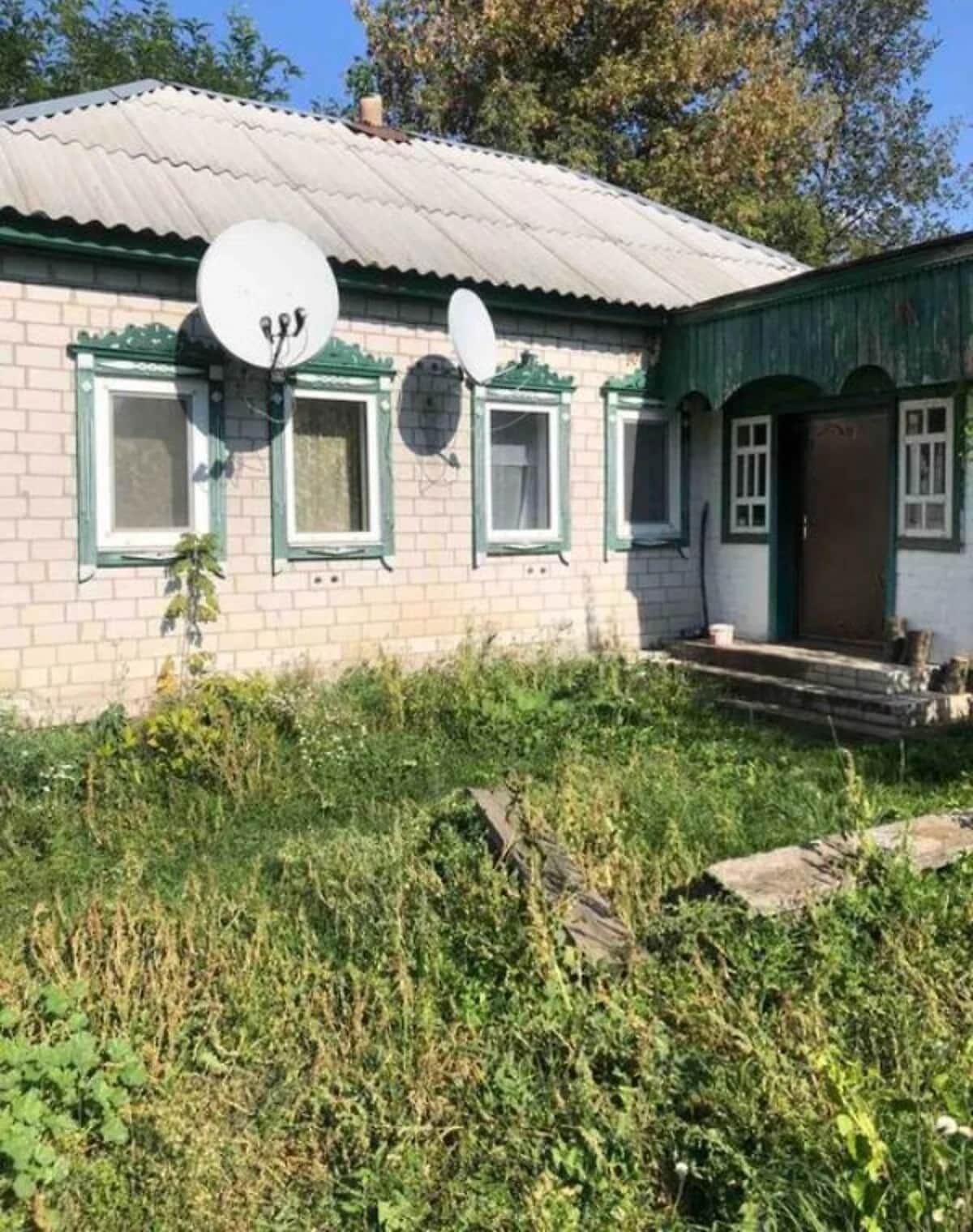 Будинок, Володькова Дівиця: гараж, 49 соток, шиферний дах - фото 1
