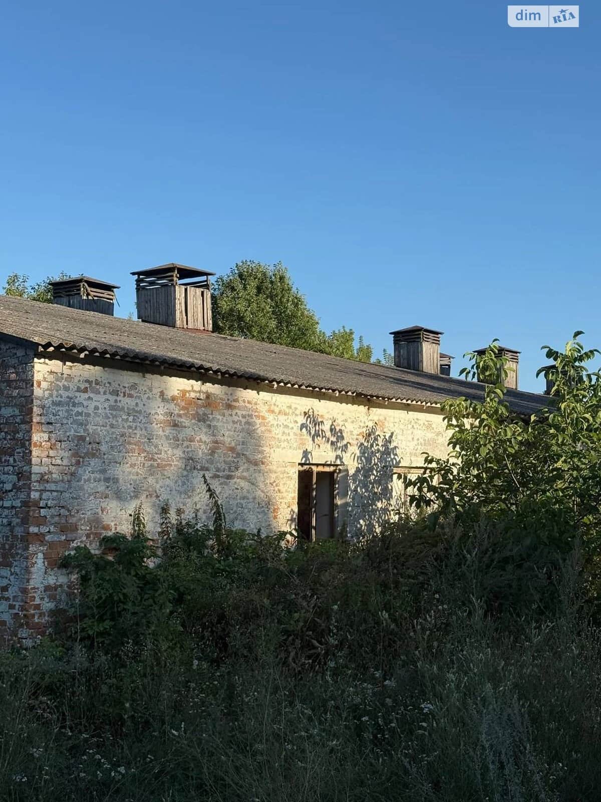 Приміщення, Голенищеве (Летичів): ангар для зерна, окреме - фото 2