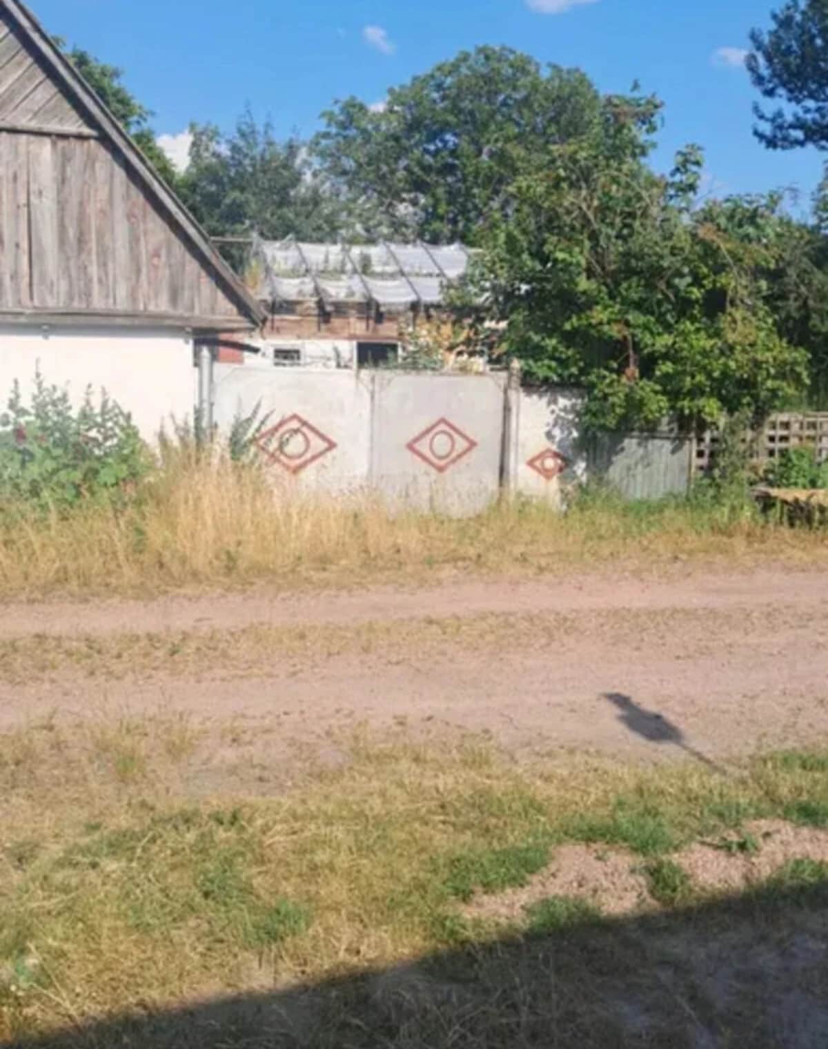 Будинок, Городище (Черняхів): сад, криниця, 60 соток - фото 2