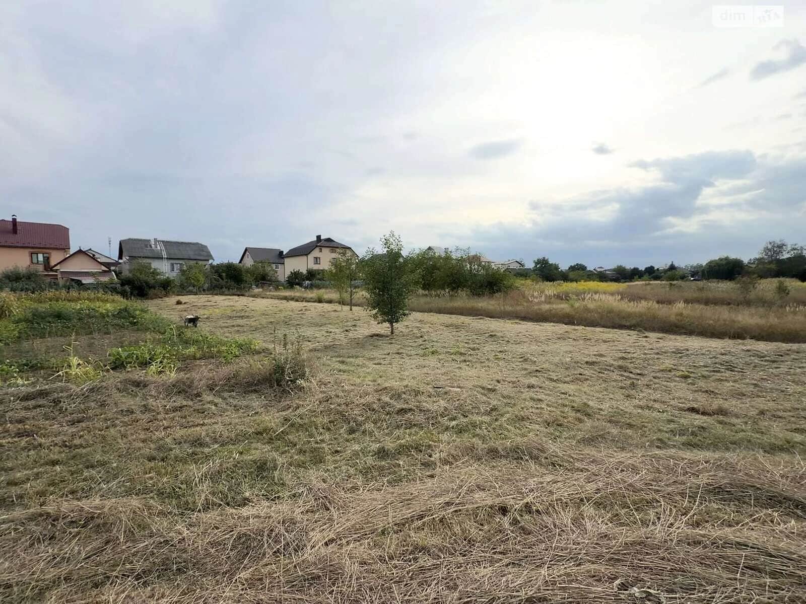 Ділянка 7.06 соток, Опришівці: житлова забудова, чорнозем, під гараж - фото 2