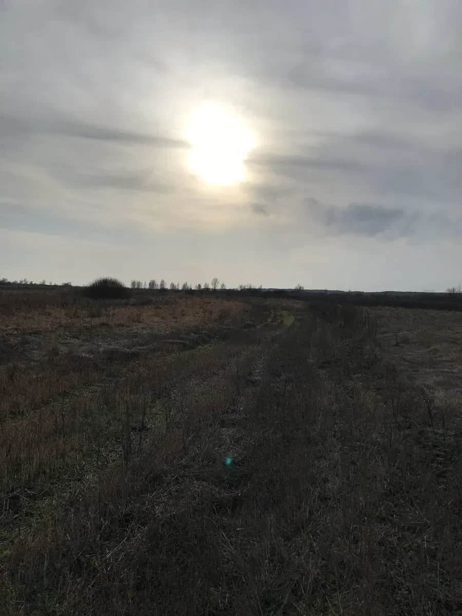 Ділянка 109 соток, Нижча Дубечня: між Десною та Дніпром - фото 1