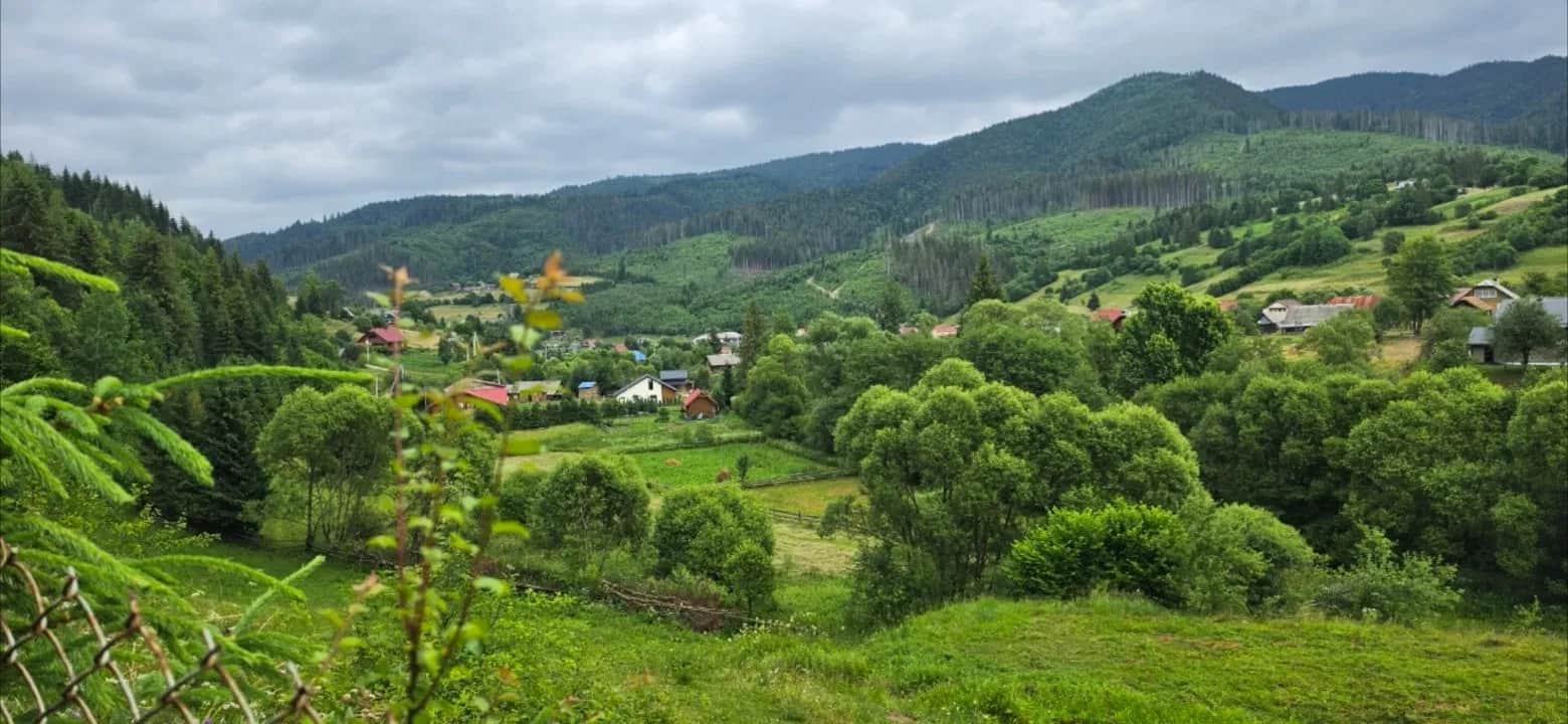 Ділянка 16 соток, Нижній Рожанці: електрика, огорожа - фото 1