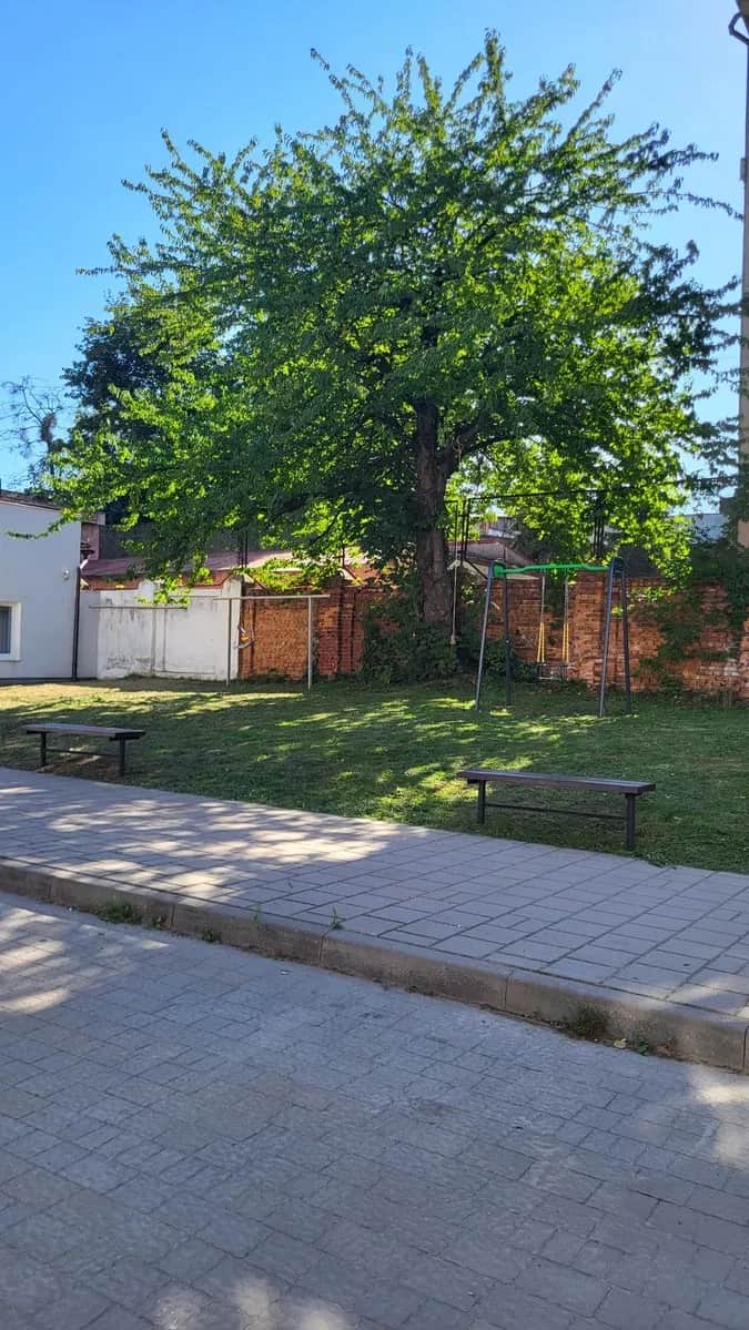 1-кімнатна квартира, Львів: після будівельників, газове опалення - фото 2