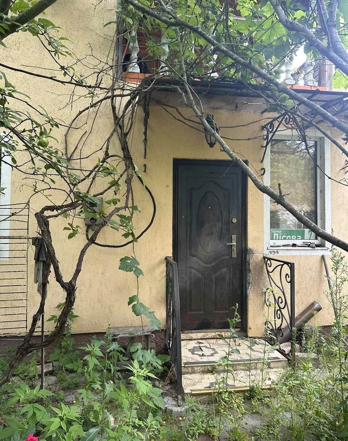Будинок, Довжик: гараж у дворі, 10 соток, 3 спальні - фото 1