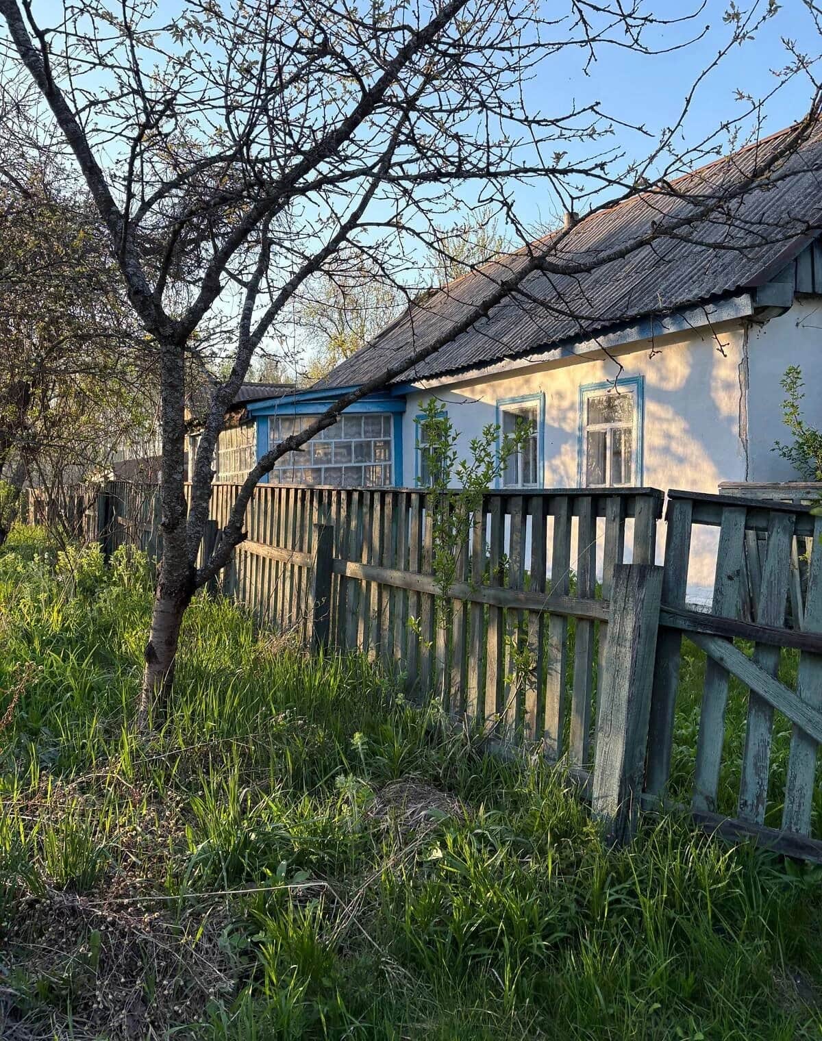 Будинок, Покостівка: 25 соток, зруб, пічне опалення - фото 1