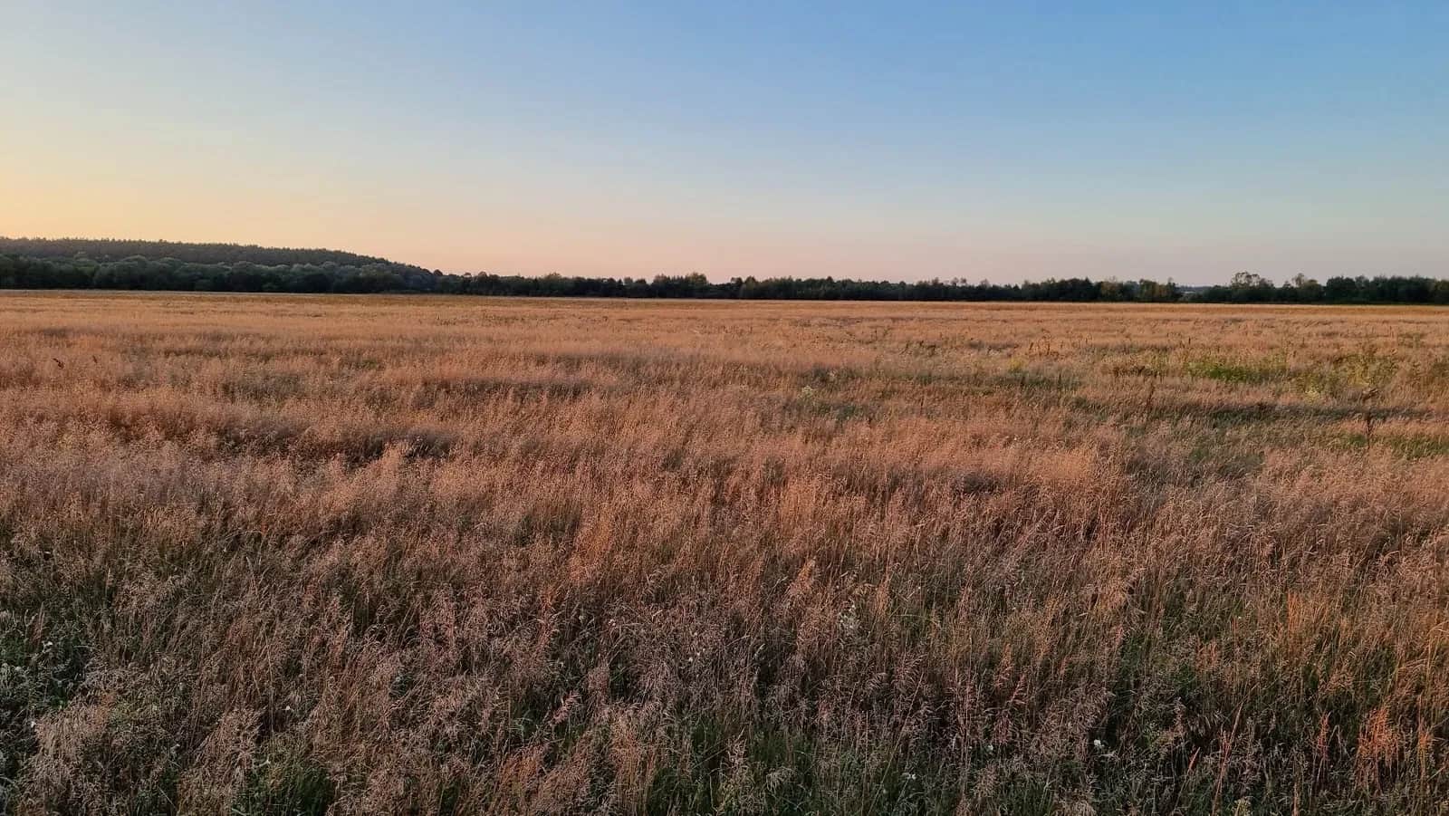 Ділянка 28 соток, Крехів: ОСГ, для поля або пасіки - фото 2