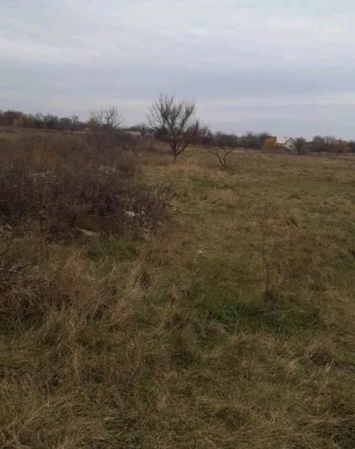 Ділянка 14 соток, Червона Знам'янка: під житлову забудову, 1-ша лінія - фото 2
