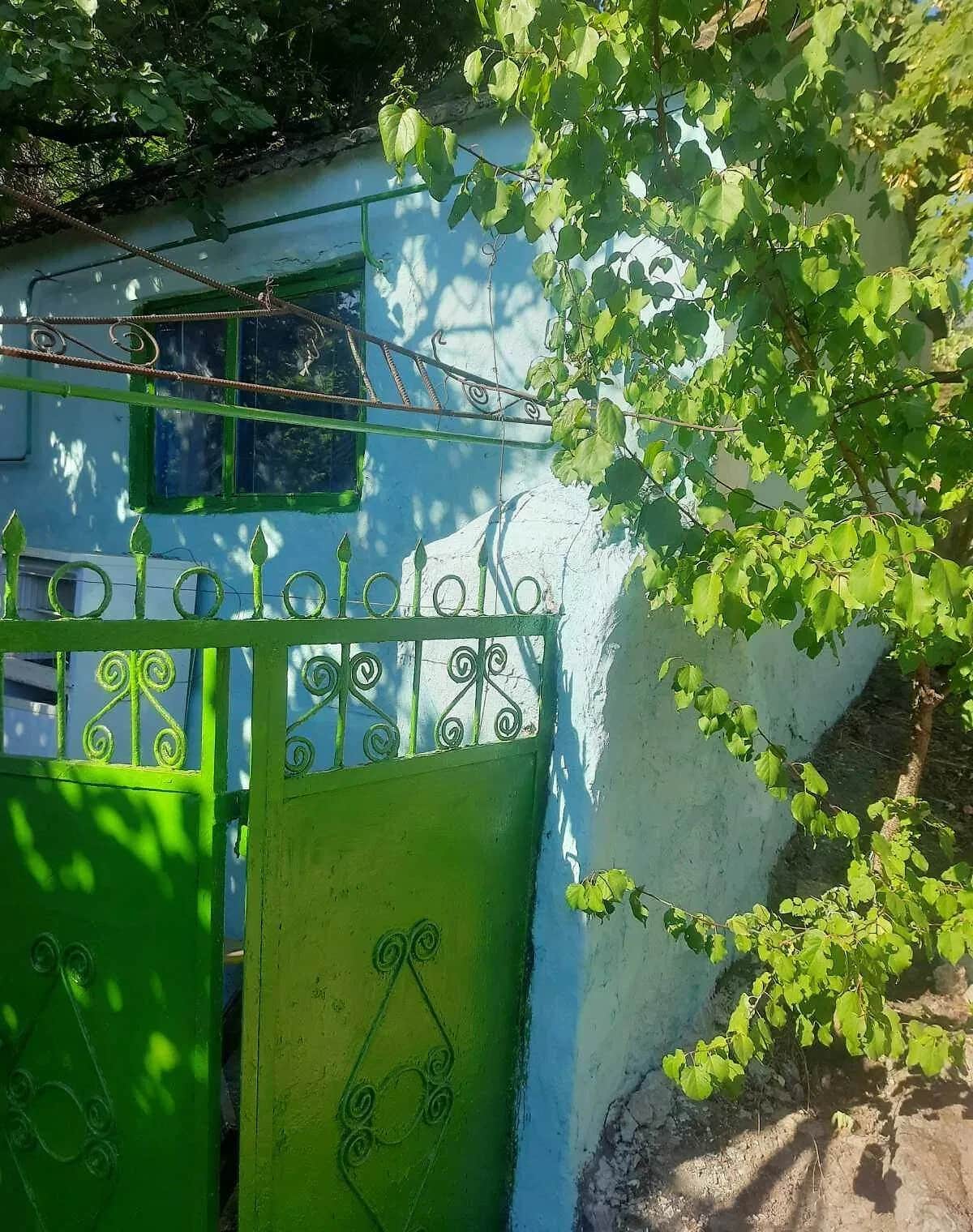 Будинок, Вознесенськ: літня кухня, гараж із підвалом - фото 1