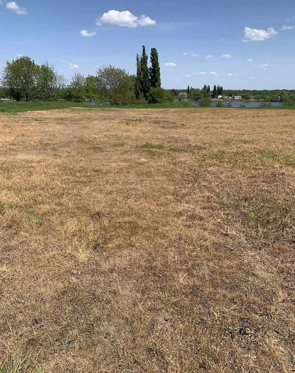 Будинок, Широка Гребля: ділянка 8000 м², сад, сарай - фото 1