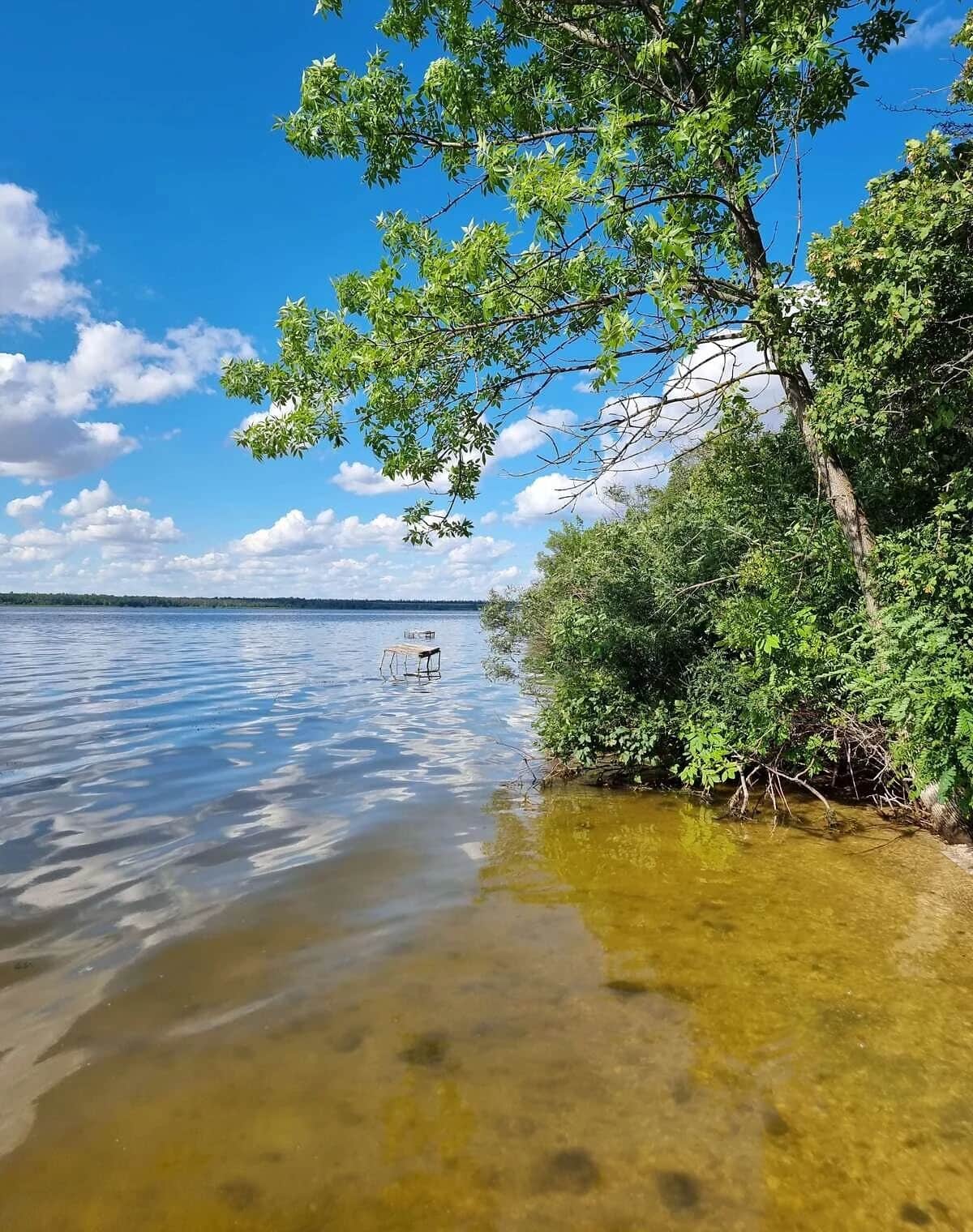 Ділянка 6 соток, Данилівка: штучне озеро, під гараж - фото 1
