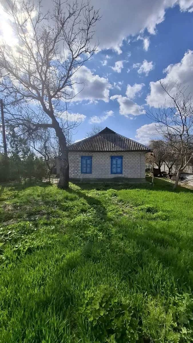 Будинок, Нова Знам'янка: 34 сотки, сад, погріб - фото 2