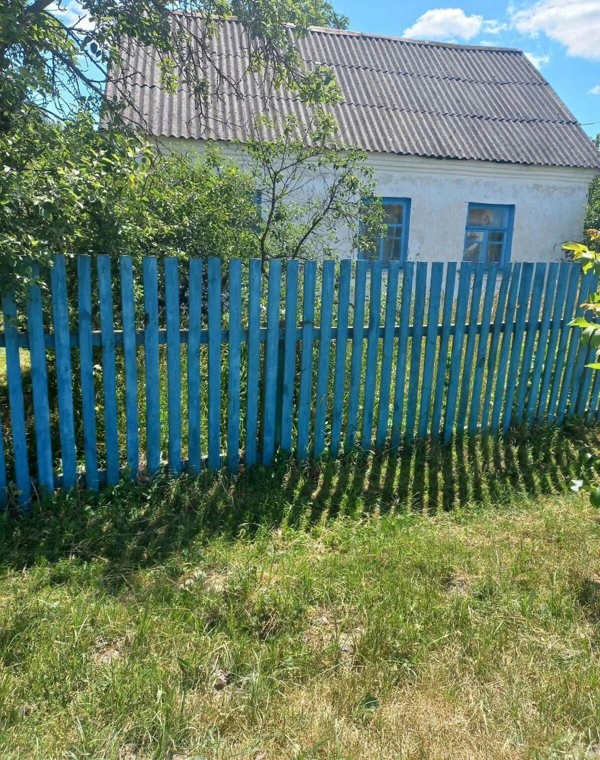 Будинок, Жуків: веранда, 25 соток, літня кухня - фото 2