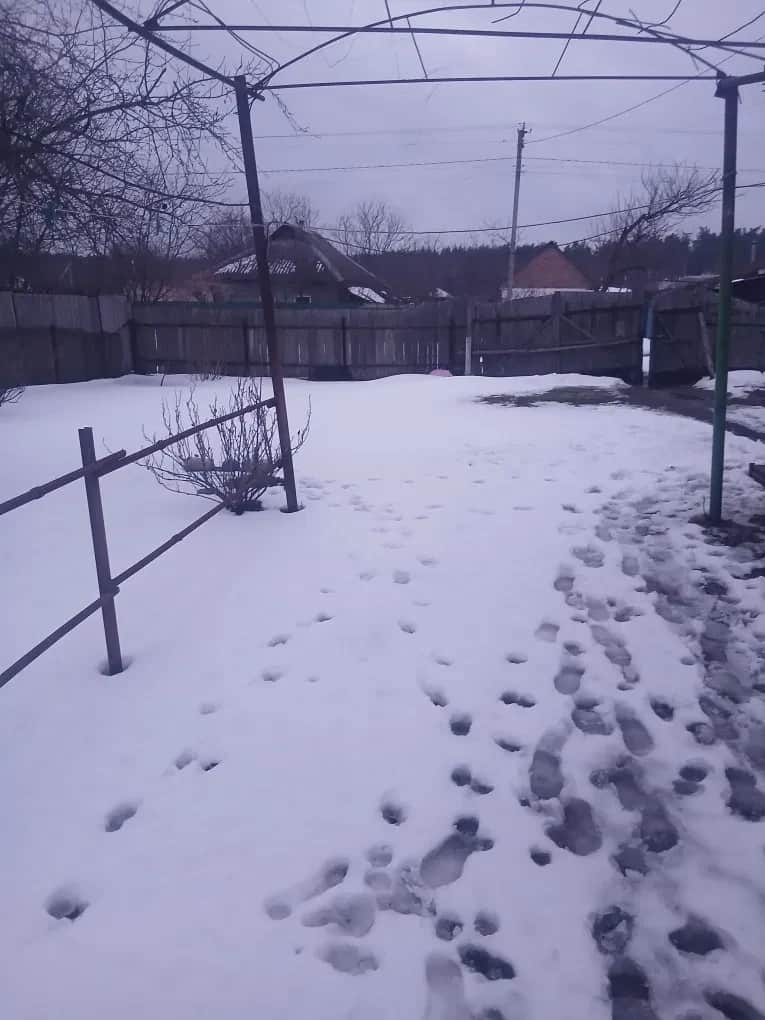 Будинок, Руська Поляна: 14 соток, поруч ліс, від забудовника - фото 2