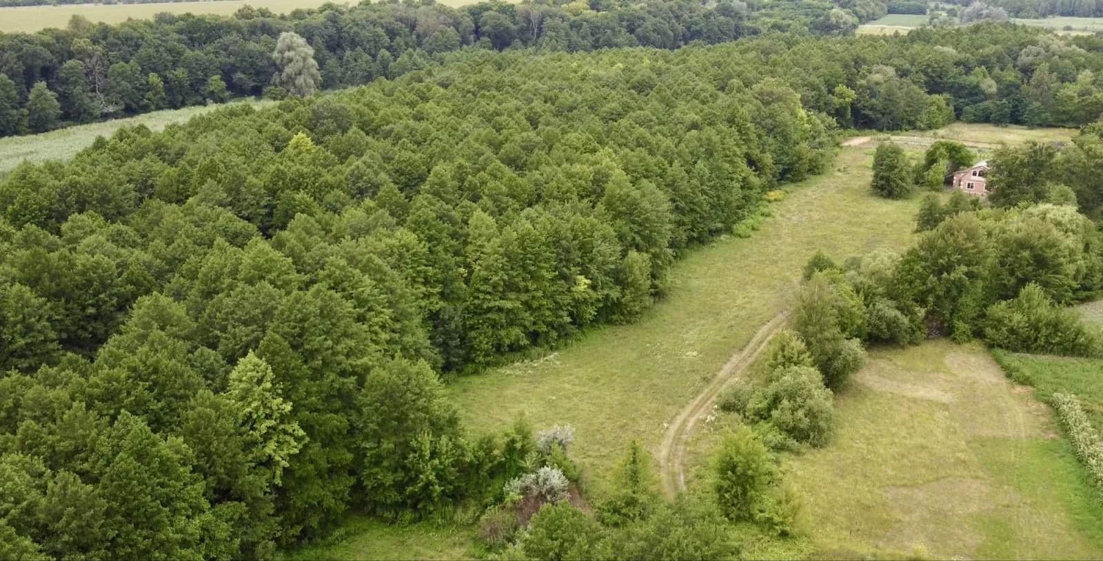Будинок, Мала Круча: 65 соток, 50 м до річки Удай - фото 1