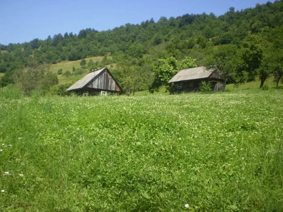 Ділянка 52 соток, Хмелів: вид на гори Румунії, електрика та вода - фото 2