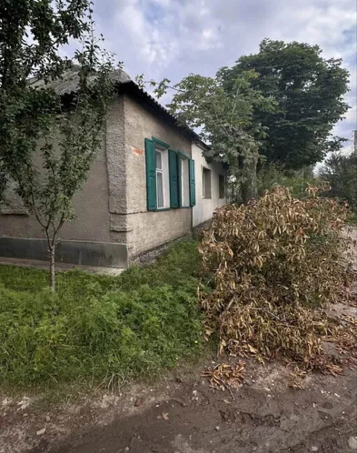Частина будинку, провулок Будянський: сад і город, свердловина - фото 1