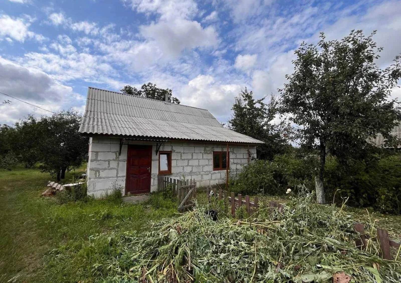 Будинок, Ярославка: гараж, цегляні стіни, камін - фото 1