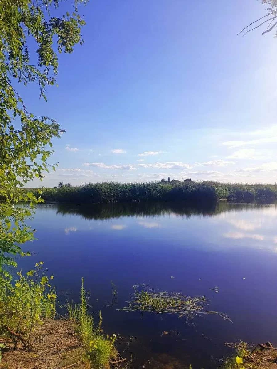 Дача, Коробівка: СТ Славутич, заповідна зона, власне озеро - фото 1