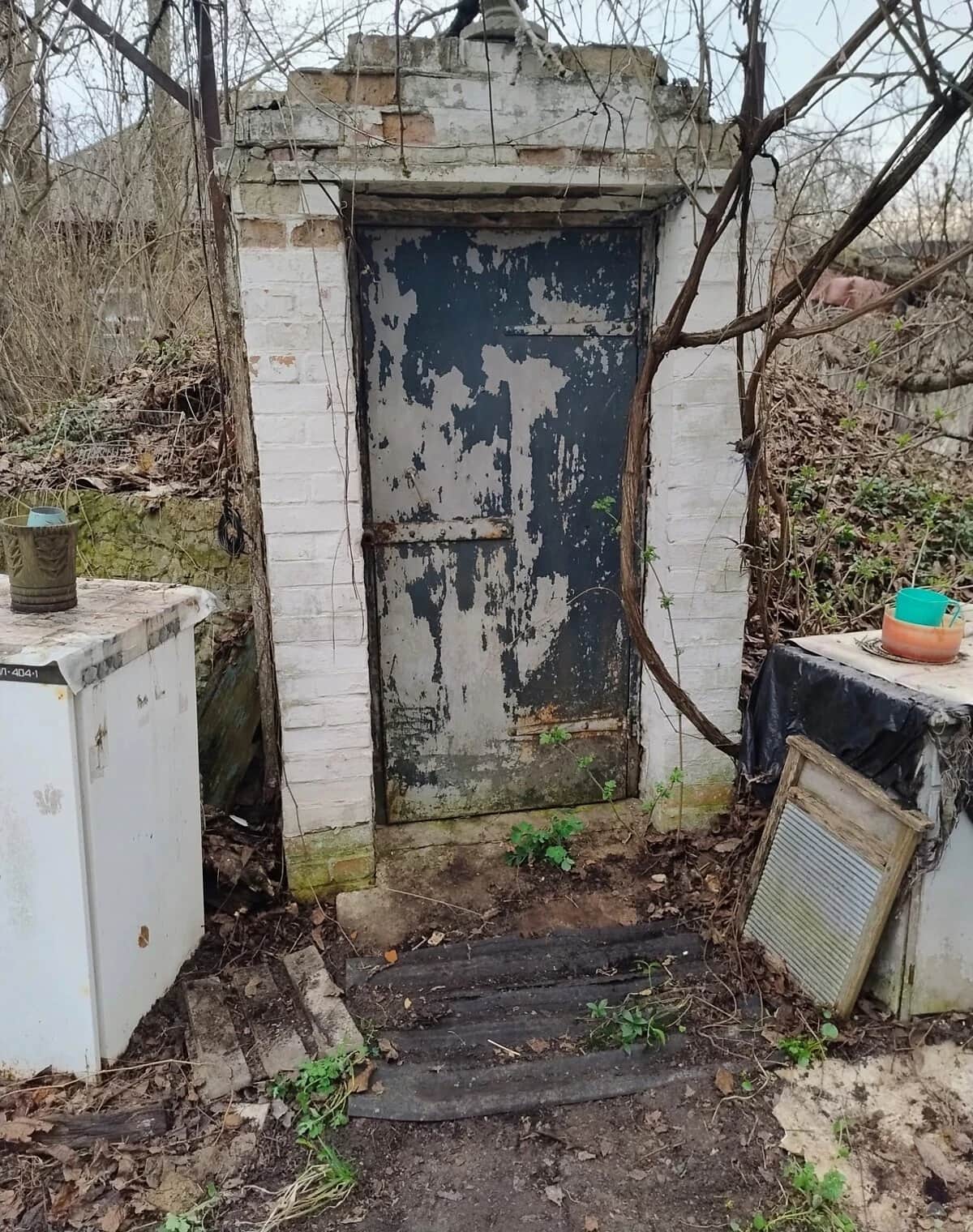 Дача, Володькова Дівиця: сад, город, погріб - фото 2