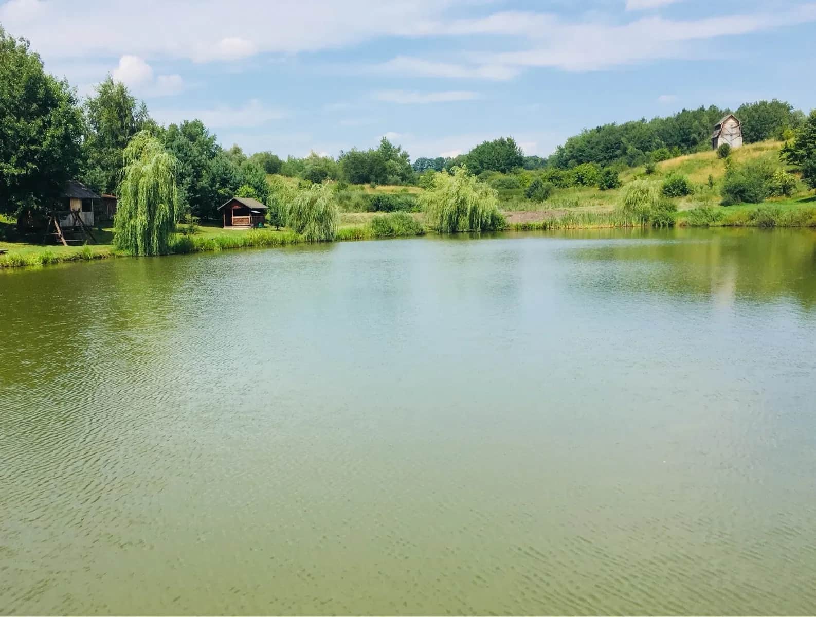 Ділянка 500 соток, Нове Село: зариблені озера, альтанки та мангали - фото 1